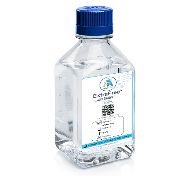 Streamlining Molecular Workflows: Discover the Simplicity of ExtraFree™ Lysis Buffer