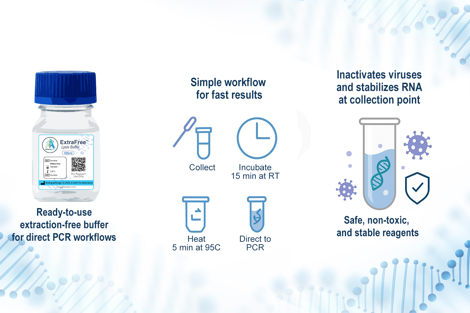 ExtraFree-Infographic-lysis-buffer